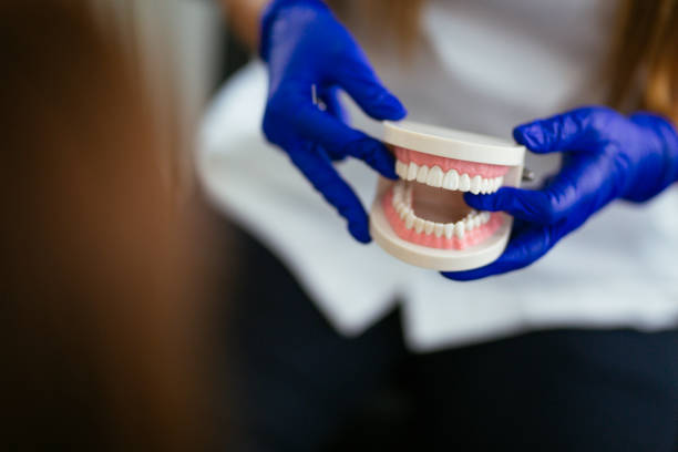 Best Preventive Dentistry  in Lovell, WY